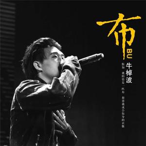 布 (DJ版)