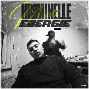 Kriminelle Energie