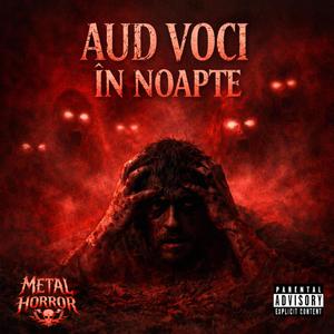 Aud voci in noapte