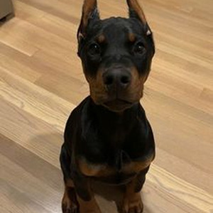 Que Tu Sabes D'Eso (slowed)