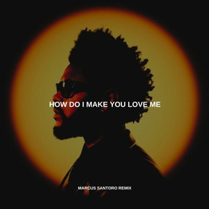 How Do I Make You Love Me? (Marcus Santoro Remix)