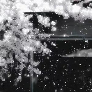 归心似箭随意飞