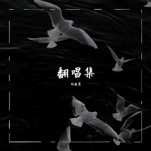 我不是你的宋东野