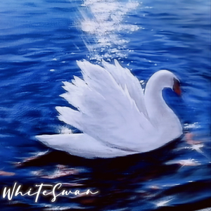 白天鹅WhiteSwan