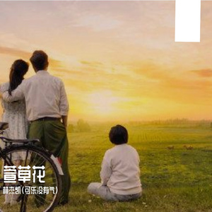 萱草花（你好，李焕英插曲）（翻自 张小斐）