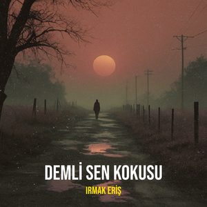 Demli Sen Kokusu