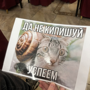 navi pro player