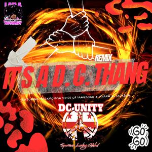 DC Unity (feat. Ms. Spice of IAAQGOGO & Ayana B. Jackson) (It's A D.C. Thang Remix)