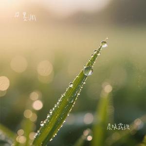 晨曦露珠