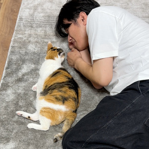 飼い主が猫バカだと思うこと３選