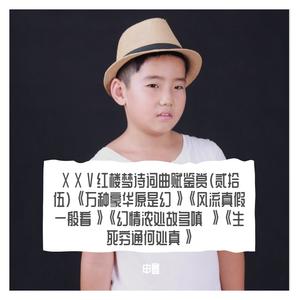 ⅩⅩⅤ红楼梦诗词曲赋鉴赏(贰拾伍)万种豪华原是幻、风流真假一般看、幻情浓处故多嗔 、生死穷通何处真