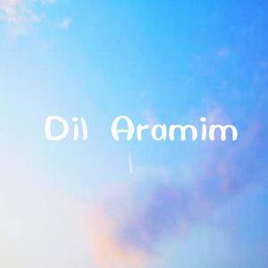Dil aramim （心弦）