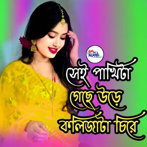 সেই পাখিটা গেছে উড়ে । Sei Pakhita Geche Ure