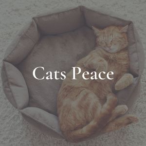 Cats Peace, Pt. 14
