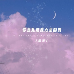 你是扎进我心里的刺