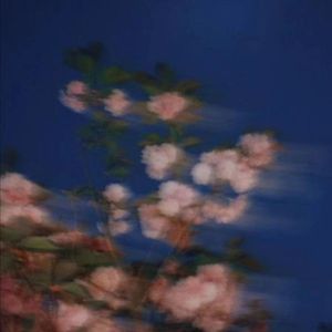 Addicted（Feat.KEPLER）