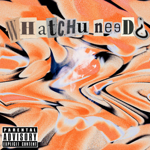 WHATCHU NEED¿