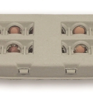 Eggs 18ct