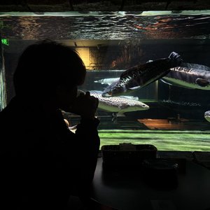 于是-cover 郑润泽.wav