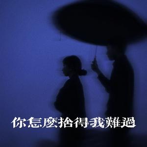 你怎么舍得我难过（R&B版）