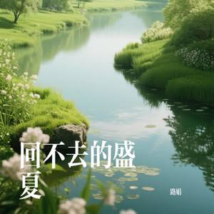 回不去的盛夏