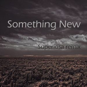 Something New（superiosa remix）
