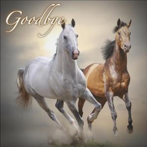 Goodbye (Special Version)