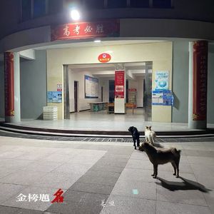 金榜题名(普通话)