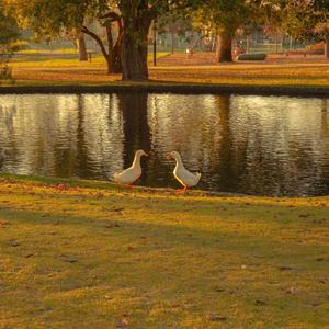 听风，看雨，爱你