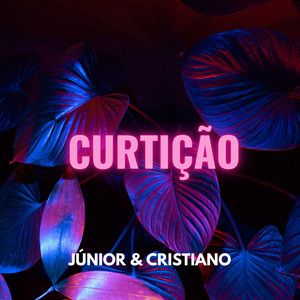 Curtição
