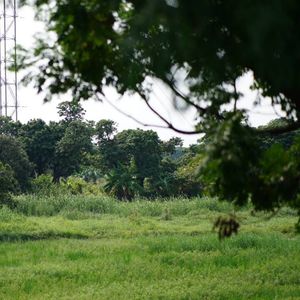 回忆成了大问题