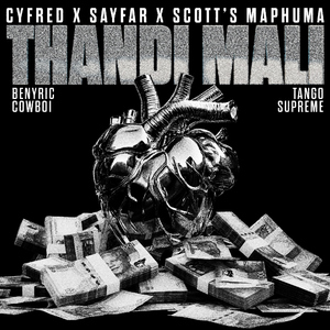 Thandi Mali (feat. BenyRic, Cowboii & Tango Supreme)