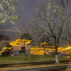 卖报纸的小行家_120206_120211_track0_120211