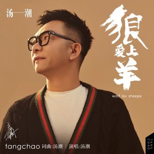 狼爱上羊（DJ版）