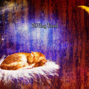 让你的思想自由入睡