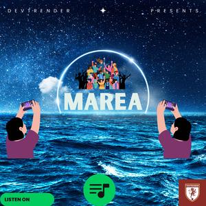 Marea