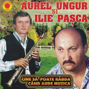 Cantecul soferului