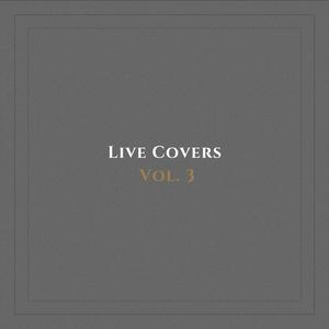 Landslide (Live)