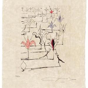 我已写不出优美的语言