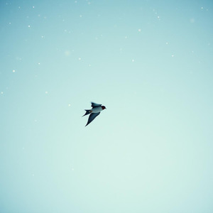 この冬君はどこに