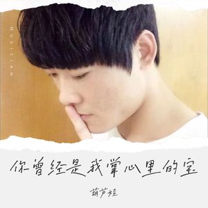 你曾经是我掌心里的宝