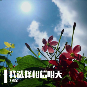 我选择相信明天