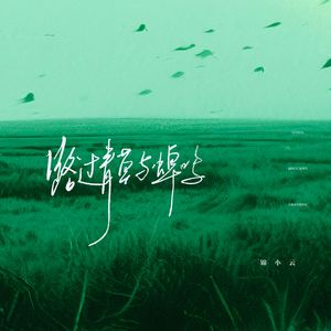 路过青草与蝉鸣