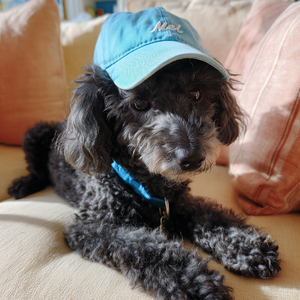 万年筆とわたし