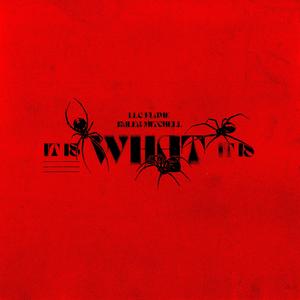 It Is What It Is (feat. Kaleb Mitchell)