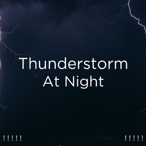 호우 잠