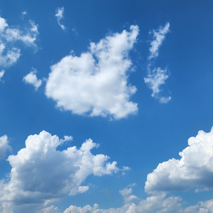 두 로봇을 결전