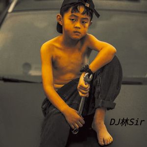 也许我命中注定情海中颠簸（DJ版）