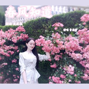 春风知道