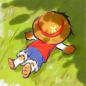完美盛夏
